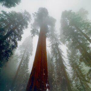 Meet your Posher, Aleksander